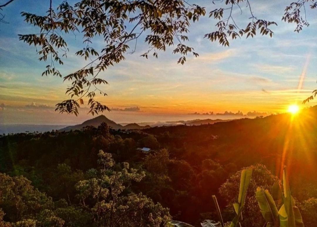 Wanagiri Campsite Gitgit ภายนอก รูปภาพ