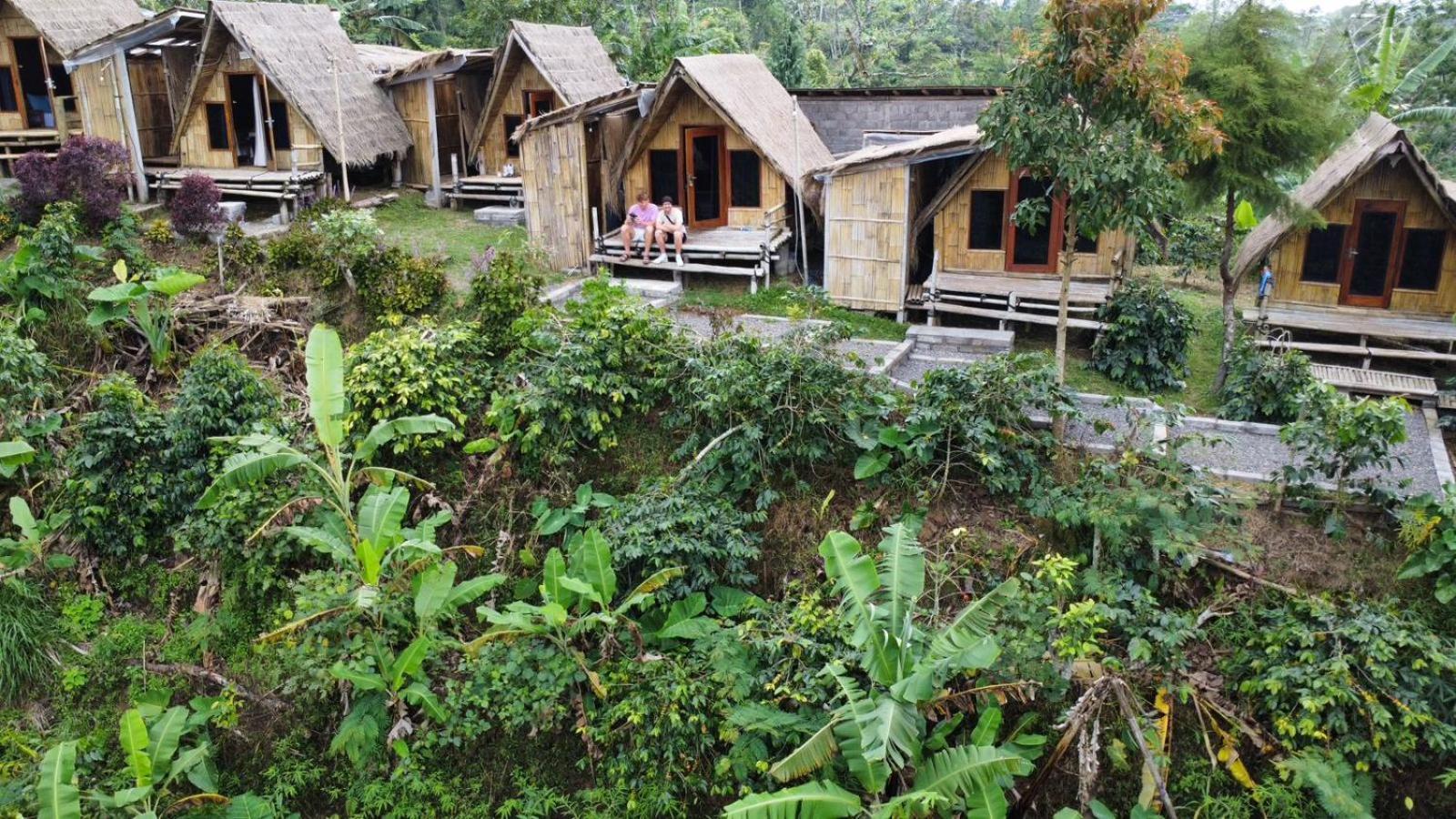 Wanagiri Campsite Gitgit ภายนอก รูปภาพ